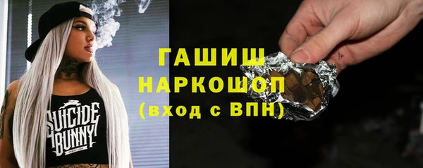 молекула духа Михайловск