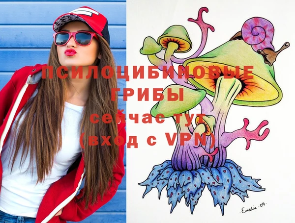 молекула духа Михайловск