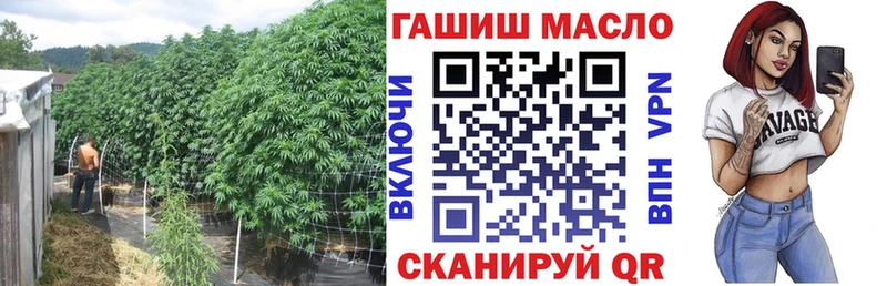 Купить закладки  Киржач  ТГК жижа 