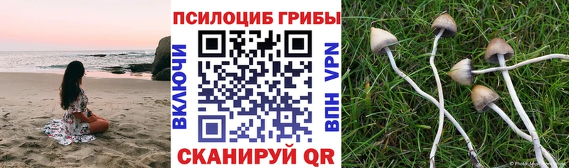 Галлюциногенные грибы ЛСД  Купить закладки  Киржач 